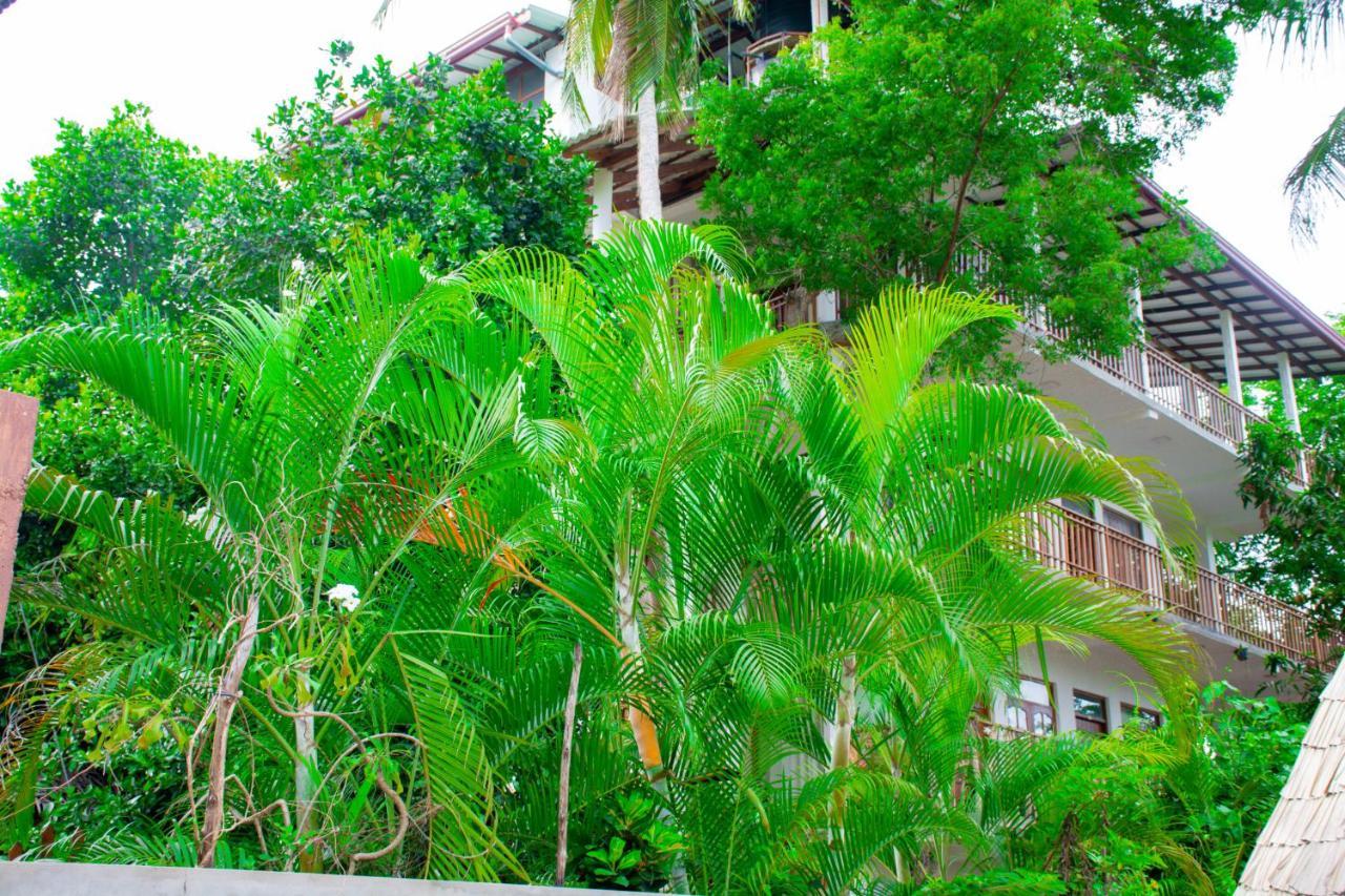 Turtle Paradise Tangalle Exteriör bild
